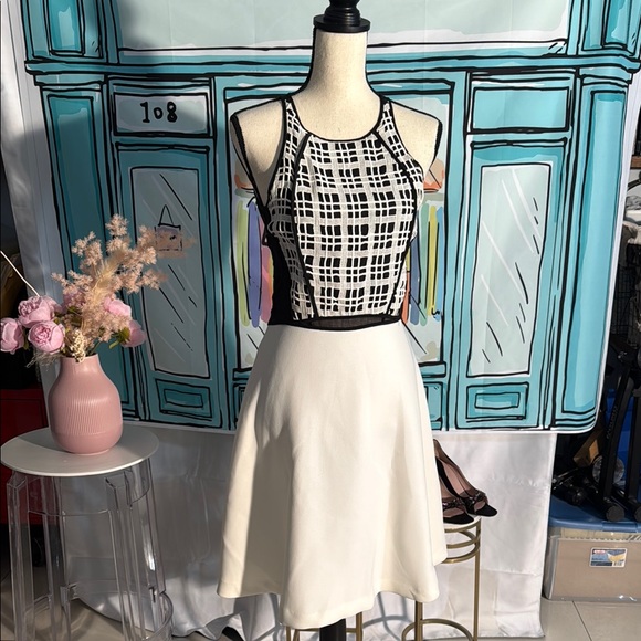 10 Crosby Derek Lam Dresses & Skirts - Derek LAM Chic Black and White Sleeveless Dress